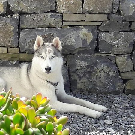 Cois Na hAbhann Doolin Extérieur photo